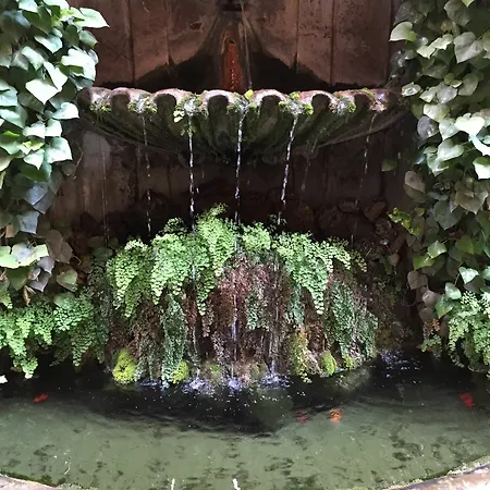 Gasthof Amaranto Rom